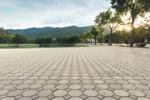 Best Residential Driveway Paver Services  in Rogersville, TN